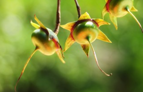 Screen%20Shot%202021 06-05%20at%205.29.59%20PM